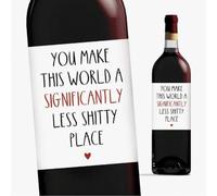 CAA Trading™ You Make This World a Less Sh*tty Place Wine Bottle Label Sticker Alcohol Label Best Friend Special Friends Colleague (1 Label Sticker)
