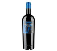 Caballo Loco Grand Cru | Chilean Red wine | Smooth & Aromatic | wine gifts | Chile (Single Bottle 75cl, Apalachicola)
