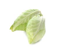 Cabbage Plants, 'Hispi Sweetheart', 12 x Full Plant Pack, Vegetable Plants, Grow Your Own, Cabbages, Garden Ready and Ready to Plant, Premium Quality Vegetables