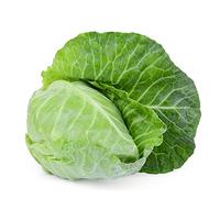 Cabbage Plants, 'Hispi Sweetheart', 12 x Large Veg Plants Ready to Plant Now, Winter Vegetable Plants, Sweetheart Cabbage, Winter Cabbages, Garden Ready, Premium Quality Vegetables