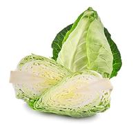 Cabbage Plants, 'Hispi Sweetheart', 6 x Plug Plant Pack, Vegetable Plants, Garden Veg, Cabbages, Garden Ready and Ready to Plant, Premium Quality Vegetables