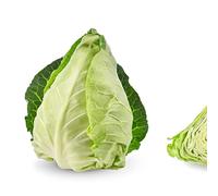 Cabbages Plants, Cabbage 'Duchy', 12 x Large Plant Pack, Winter Vegetable Plants, Grow Your Own, Winter Cabbages Garden Ready and Ready to Plant, Premium Quality Vegetables
