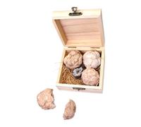 Cabilock 1 Box Gem Dig Kit for Educational Geology Mining Kit with Natural Crystal Rocks Fun Gemstone Excavation for Birthday Gifts and Science Exploration