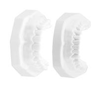 Cabilock 1 Set Vivid Tooth Model for Teaching Practice and Easy to Clean Teaching Tool for Home and School for Childrens Tooth Brushing Skills
