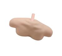 Cabilock 1pc Shoulder Model for Beauty Salon Display Teaching and Practice Safe and Design for Wigs Hats and Accessories