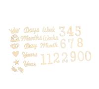 Cabilock 1set Wooden Milestone Blocks for Monthly Growth Recording Signs Milestone Photo Props Unique Shower Decor for Capturing Special Moments