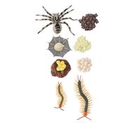Cabilock 2 Sets Realistic Tarantula and Growth Cycle Evolution Models for Lightweight Plastic Simulation Ornaments Educational for Natural Science Learning and Cognitive Development