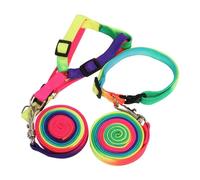 Cabilock 2pcs Colorful Nylon Dog Traction Rope Leashes with Creative Decoration and Balance between Freedom and Control for Outdoor Use