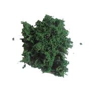 Cabilock 3 Packs Dried Moss Lichen Green Plants Each Natural Fairy Garden Decor for Patio Indoor Outdoor DIY Model Landscaping Craft