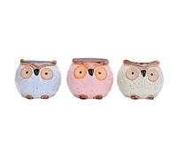 Cabilock 3pcs Owl Shape Planter Decorative Mini Flower Pots for Color Design Tray Creative Animal Pot for Indoor Gardening