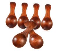 Cabilock 6pcs Mini Wooden Spoons Natural Wood Condiment Scoops for Spices Tea and Honey Small Reusable Kitchen Utensils for Cooking and Serving Rustic Design