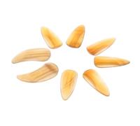 Cabilock 8pcs Guzheng Nails Protective Practice Fake Nails Beginner Instrument Finger Picks for Playing