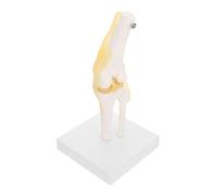 Cabilock Anatomical Knee Joint Model Ligaments for Teaching Flexible Human Knee Joint Anatomy Model for Educational Use for Anatomy Study