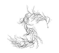 Cabilock Black Artificial Willow Branch Garland Bendable Plastic Vine for Halloween Porch Decor Gothic Cemetery Scene Weather Resistant DIY Spooky Branch Decoration for Indoor and Outdoor