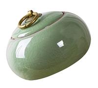 Cabilock Ceramic Tea Canister Small Metal Teapot Food Storage Jar Kitchen Canister Sugar Pot Porcelain Grain Container Light Green