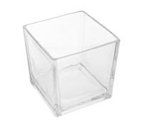 Cabilock Clear Thickened Square Glass Vase Transparent Flower Planter for Home Office Decor Simple Chic Floral Arrangement Container Easy to Clean Modern Plant Holder