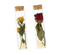 Cabilock Cute Jar Dried Wishing Bottle Mini Bottles for Home Office Party Dec