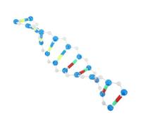 Cabilock Double Helix Dna Model Educational Human Genes Assembly Kit for Classroom Science Teaching Reusable Molecular Biology Supply with Step Guide for Students and Lab Use