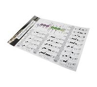 Cabilock Flute Fingering Chart Printed Practice Guide for Beginners Flute Chord Reference Poster for Students Classroom Study and Quick Music Mastery