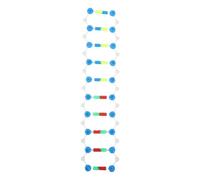 Cabilock Genetic Model Dna Model for Students Double Helix Structure Dna Learning Tool Molecule Modeling Components Classroom Students Educational Chemistry Prop