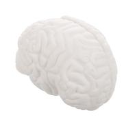 Cabilock Human Brain Anatomy Model Anatomical Teaching Tool with Detachable Parts Display Base for Science Classroom Study Precision Engineered for and Research