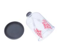 Cabilock Human Lung Breathing Model Large Diaphragm Simulator, Lung Function Demonstration Teaching Tool for Students, Anatomical Respiratory Display for Science Education