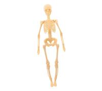 Cabilock Human Skeleton Model Anatomical Skeleton Educational DIY Assembly Scientific Teaching Aid Sturdy Plastic for Anatomy Study and Medical Learning