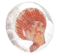 Cabilock Hydrating Amino Acid Soap with Essential Oils Jelly Shell Marine Bath Cleansing Soap for Women for Sensitive Skin Care