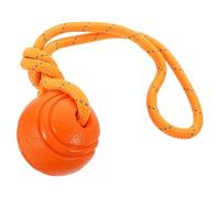 Cabilock Interactive Molar Chewing for Puppies Sturdy Dog Accessory Suitable for Golden Retriever Training Sessions