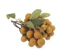 Cabilock Lifelike Simulated Longan Fruit Model Made of Sturdy Plastic Long-lasting Colour Retention, for Teaching and Home Decoration, Realistic Summer Tropical Fake Fruit Prop