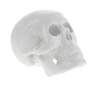 Cabilock Mini Human Skull Model Anatomical Skull Figurine Detailed Teaching Decor for Halloween Party and Educational Display
