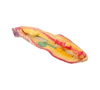 Cabilock Realistic Enlarged Earthworm Anatomy Model for Student Experiment, Plastic Insect Biology Model with Educational Resources, for Interactive and Engaging Lesson Plans