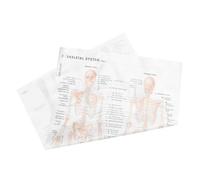 Cabilock Skeletal Structure Anatomy Poster Tear Resistant Silk Cloth Human Body Educational Chart for School Laboratory Classroom Teaching and Medical Study