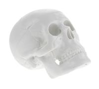 Cabilock Small Human Skull Model PVC Anatomy Skull Decor Miniature Skeleton Figure for Teaching and Halloween Party Decorations