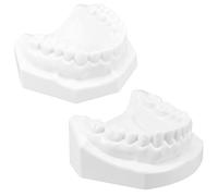 Cabilock Standard Tooth Model Adult Teaching with Extractable Teeth for Brushing Flossing and Extraction Practice Gum Simulation for Study and Education