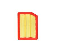Cabin Air Filter 2Pcs For CS35 Plus 1.6T 1.6MT 1.6AT Multiple filtering Car Filter OEM:1109013W01,8119030BQ01 (Color : Car Filter B)
