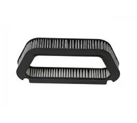 Cabin filter Activated Carbon Filter 18190541001 vika for AUDI A8 D3