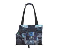 Cabin of the Future Small pet carrier suitable for shopping malls airplanes buses and subways