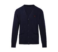 Polo Ralph Lauren Jumpers - male - Polo Ralph Lauren - Cardigans - Blue - L - Knitwear L