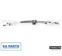 Cable, manual transmission for CITROËN C4 TRISCAN 8140 28718