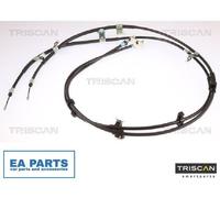Cable, parking brake for FORD TOURNEO CONNECT TRISCAN 8140 161205