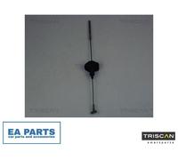Cable, parking brake for FORD TRANSIT CONNECT TRISCAN 8140 16182