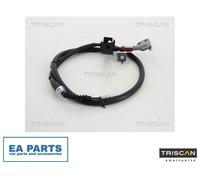 Cable, parking brake for HYUNDAI i10 TRISCAN 8140 181134 NEW