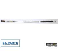 Cable Pull, manual transmission for CITROËN C5 TRISCAN 8140 28737