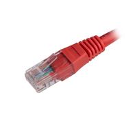 Cablenet CNL 100PK 1M C5e Rd UTP PVC 24AWG FMB