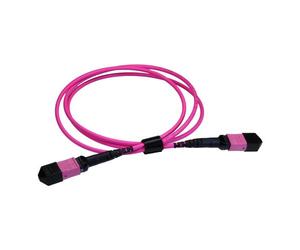 Cablenet MPO-12TC4MPO3EV. Cable length: 3 m Fibre optic type: OM4 Connector 1: MPO Connector 2: MPO Core diameter: 50 m