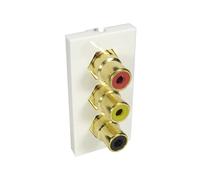 Cables Direct AV-MOD3RCA socket-outlet 3 x RCA White