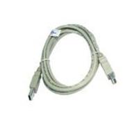 CablesDirect USB2 - 022 USB Cable (Male/Male, White)