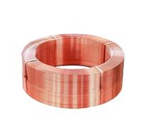 Cabluandry Soft Coil T2 Copper Tubing 2mm 3mm 10mm 12mm 16mm 19mm Seamless Round Pipes for Refrigerators and Air Conditioner Hollow(4x1mm)