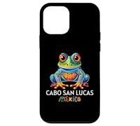 Cabo San Lucas Los Cabos Souvenir Cabo Case for iPhone 12 mini